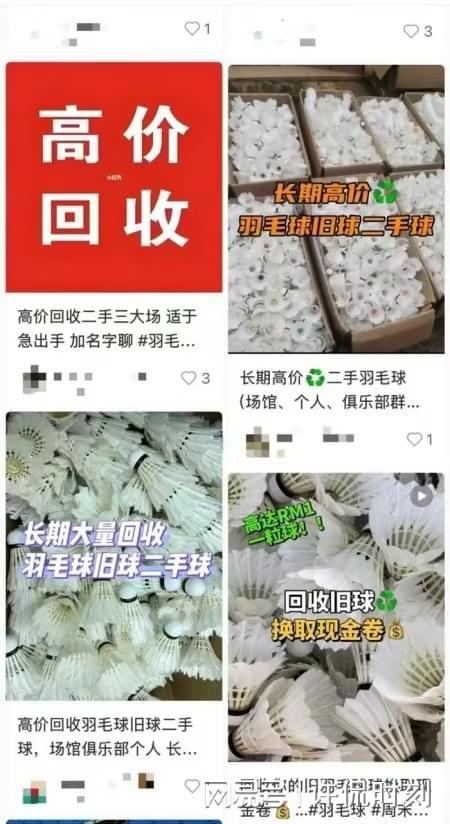 严重 一公斤旧羽毛竟可制5件新服装ag真人平台第一游戏羽绒服造假现象(图3)