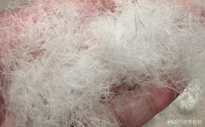 严重 一公斤旧羽毛竟可制5件新服装ag真人平台第一游戏羽绒服造假现象(图2)