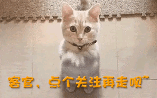 ！又一中产最爱的电商平台停运曾叫板淘宝！AG真人百家家乐APP烧光3000万美元(图8)